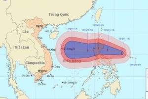 Từ sáng 12/10, bão số 11 dậy sóng Biển Đông