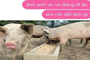 Chết cười với đủ trò đùa “lầy lội” ngày Cá tháng Tư