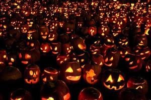 Đèn bí ngô Halloween đội giá vì thời tiết xấu