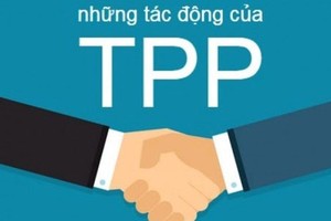 Hà Nội cần chuẩn bị để gia nhập Hiệp định TPP?