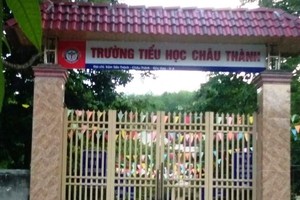 Hiệu trưởng Trường Tiểu học Châu Thành bị giáng chức vì bớt sữa của học sinh