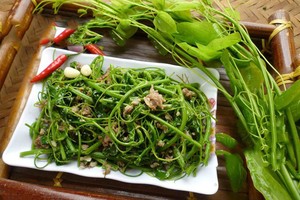 Những món ngon hấp dẫn từ loài rau rừng tên lạ - rau bò khai