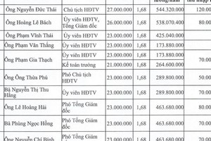 Chủ tịch NXB Giáo dục thu nhập gần 700 triệu đồng/năm