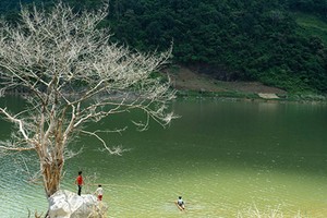 Sững sờ hồ Lá Luộc mùa này như tranh thủy mặc