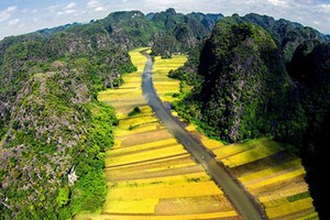 Vẻ đẹp “thần tiên” về Việt Nam trong phim King Kong