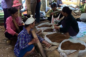 Lạ lùng nơi đàn bà nghiện thuốc lào như nghiện... ma túy!