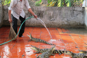 Lỗ nặng nghề buôn quái vật đường sông ở Việt Nam