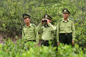 Truy tìm nhóm lâm tặc chém kiểm lâm tử vong ở Lâm Đồng