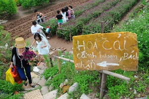 Khi nhà vườn treo bảng "coi chừng chó dữ" miễn tiếp ... dân phượt