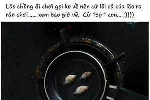 “Cá mập cắn” cáp quang liên tiếp khiến người dùng kêu trời