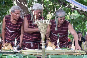 Độc đáo lễ cúng thần lúa - Sayangva của người Chơro