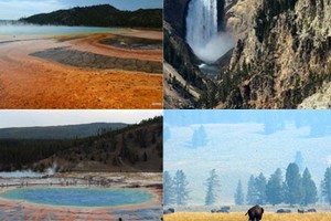 Ngắm cảnh ngoạn mục của vườn quốc gia Yellowstone