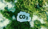 Loại bột nhân tạo hấp thụ CO2 tốt hơn cây xanh