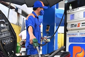 Petrolimex BRVT và những gói thầu “một mình một ngựa”