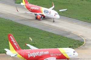 Đào, mai Tết bay với VietJet Air: 350.000 đồng/bó