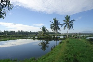 Vợ chồng “phố“