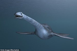 Sửng sốt phát hiện họ hàng quái vật hồ Loch Ness khổng lồ