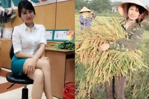 Phải lòng cô hot girl gặt lúa “tuyển chồng” gây bão like