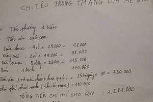 Bảng chi tiêu 3 triệu/tháng của gia đình 5 người gây tranh cãi