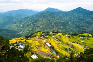 Mùa lúa chín vàng tuyệt đẹp ở nơi không có sự chen chúc ngạt thở