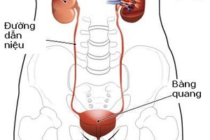 Điều trị rối loạn sinh dục - tiết niệu không hề khó