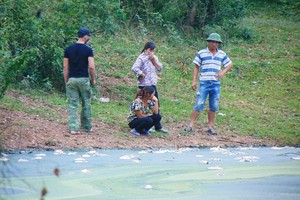 TĐ Hòa Phát tăng cao doanh thu nông nghiệp... lại “lềnh phềnh” ô nhiễm môi trường