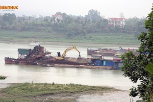 Cty CP Thái Sơn E&C “tận hủy” tài nguyên cát trên sông Lô: Có thể tước ngay giấy phép?