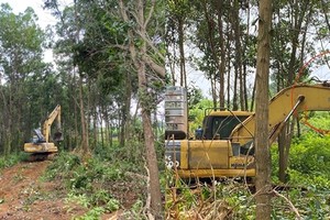 Máy xúc gắn logo Tập đoàn Bình Minh ngang nhiên phá cây trồng người dân?