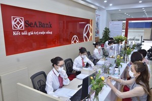 Trước khi tăng vốn lên hơn 13.000 tỷ, SeABank lợi nhuận sao?