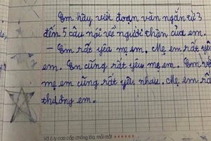 "Lạc đề hay xứng đáng điểm 10", bài văn của cậu bé tiểu học khiến dân mạng thắc mắc