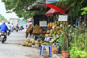 “Chợ cóc” bùng phát trên Đại lộ Thăng Long, hiểm họa khôn lường