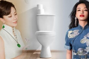 Bà xã Lương Triều Vỹ cho người đập nát bồn cầu vì lý do này