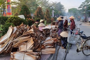 Độc đáo phiên chợ mo cau ở Quảng Ngãi