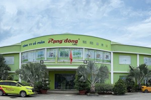 Vì sao Rạng Đông Holding chậm nộp báo cáo tài chính? 