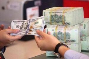 Tỷ giá USD hôm nay 20/1/2025: Có giữ vững đà tăng?