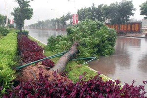 Siêu bão Haiyan tấn công miền Trung, đe dọa miền Bắc