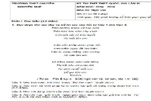 Đề thi thử THPT quốc gia môn Văn chuyên Nguyễn Chí Thanh