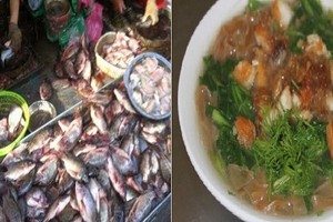 “Chiêu độc” phù phép cá ươn, cá thối thành món ngon kiếm lời