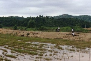 Đê bao trăm tỷ xuống cấp nghiêm trọng chỉ sau 1 đợt lũ