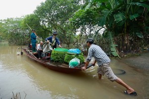 Mưa ngập, người dân bãi giữa sông Hồng phải đi lại bằng thuyền