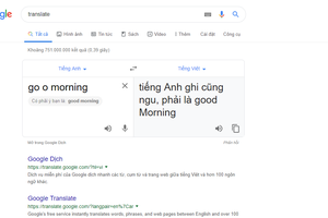 Google Dịch 'chửi sấp mặt' người dùng, CĐM dậy sóng