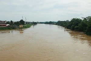 Thanh Hoá: Nước đang lên nhanh, báo động cấp 2 trên sông Mã