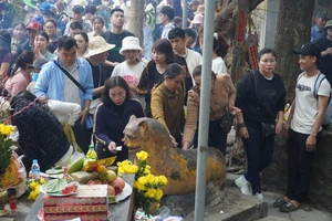 Lên chùa Hương Tích xoa tượng “hổ thần” cầu mong bách bệnh tiêu tan