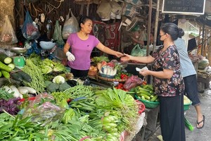 Giá rau xanh tăng “phi mã” sau Bão số 3 Yagi