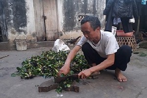 Ngày 25/4, “tử tù” Hàn Đức Long được công khai xin lỗi