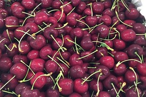 Ngỡ ngàng cherry Mỹ giá 200.000 đồng/kg ở siêu thị 