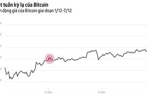 Phát hoảng với "cơn điên" của Bitcoin