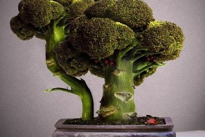 Mê mẩn bonsai rau lạ mắt đón Tết 2017