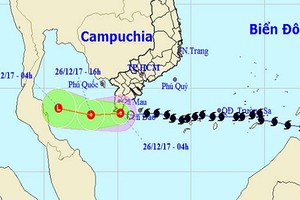 Bão số 16 suy yếu thành áp thấp, mưa lớn diện rộng