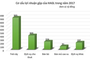 Sau “quả ngọt” U23, bầu Đức đón tin vui từ kết quả kinh doanh